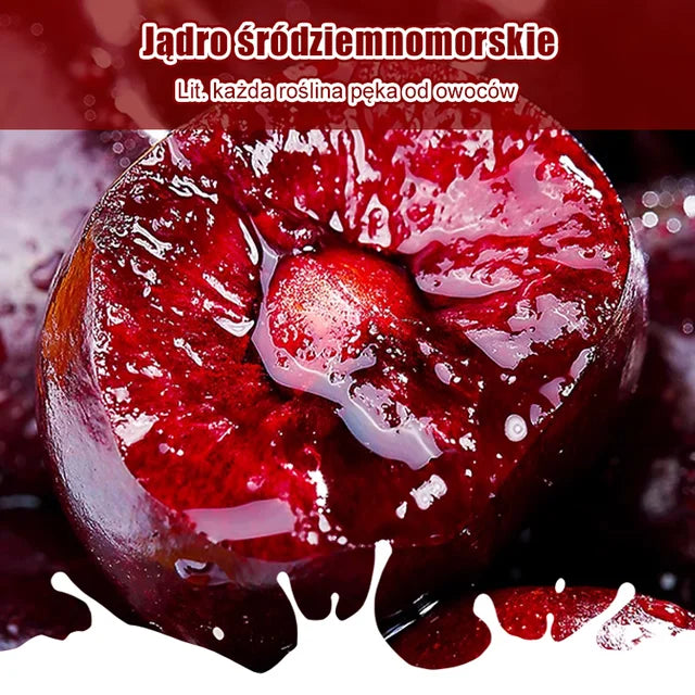 Importált chilei cseresznyemag