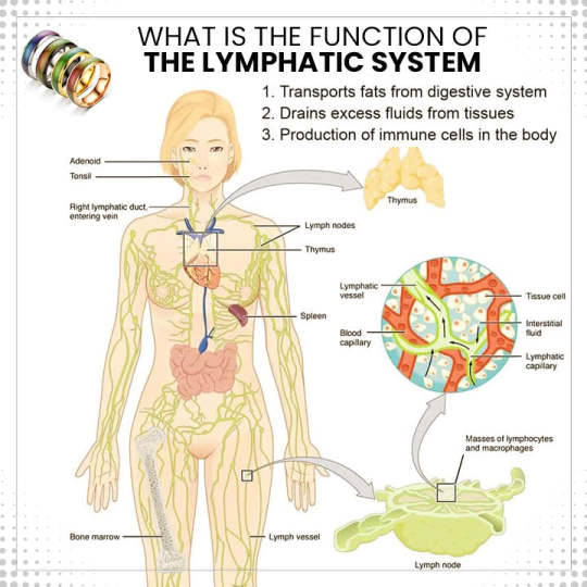 Lymphvity Thermotherapeutic Body Detox Ring