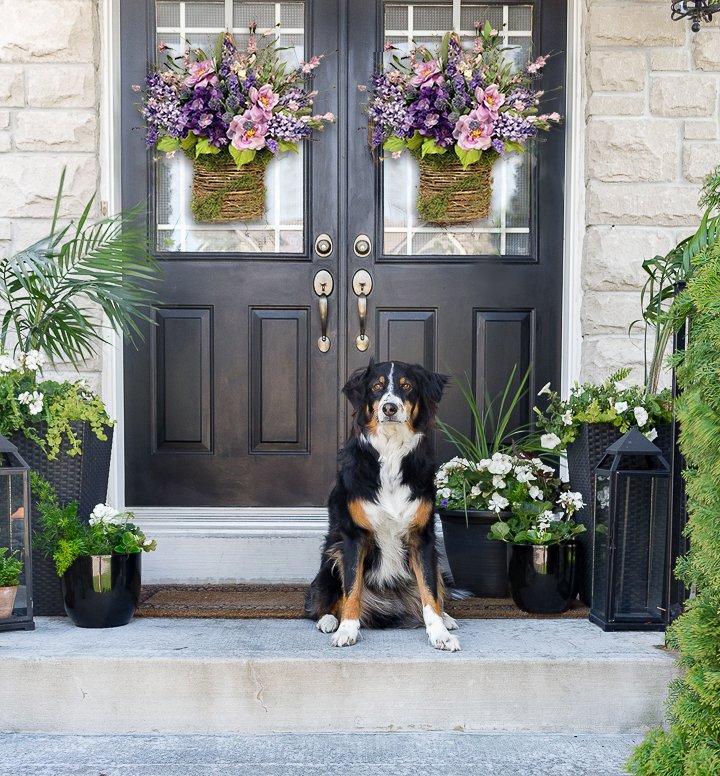 💝RAZPRODAJA ZADNJI DAN - 50% POPUST